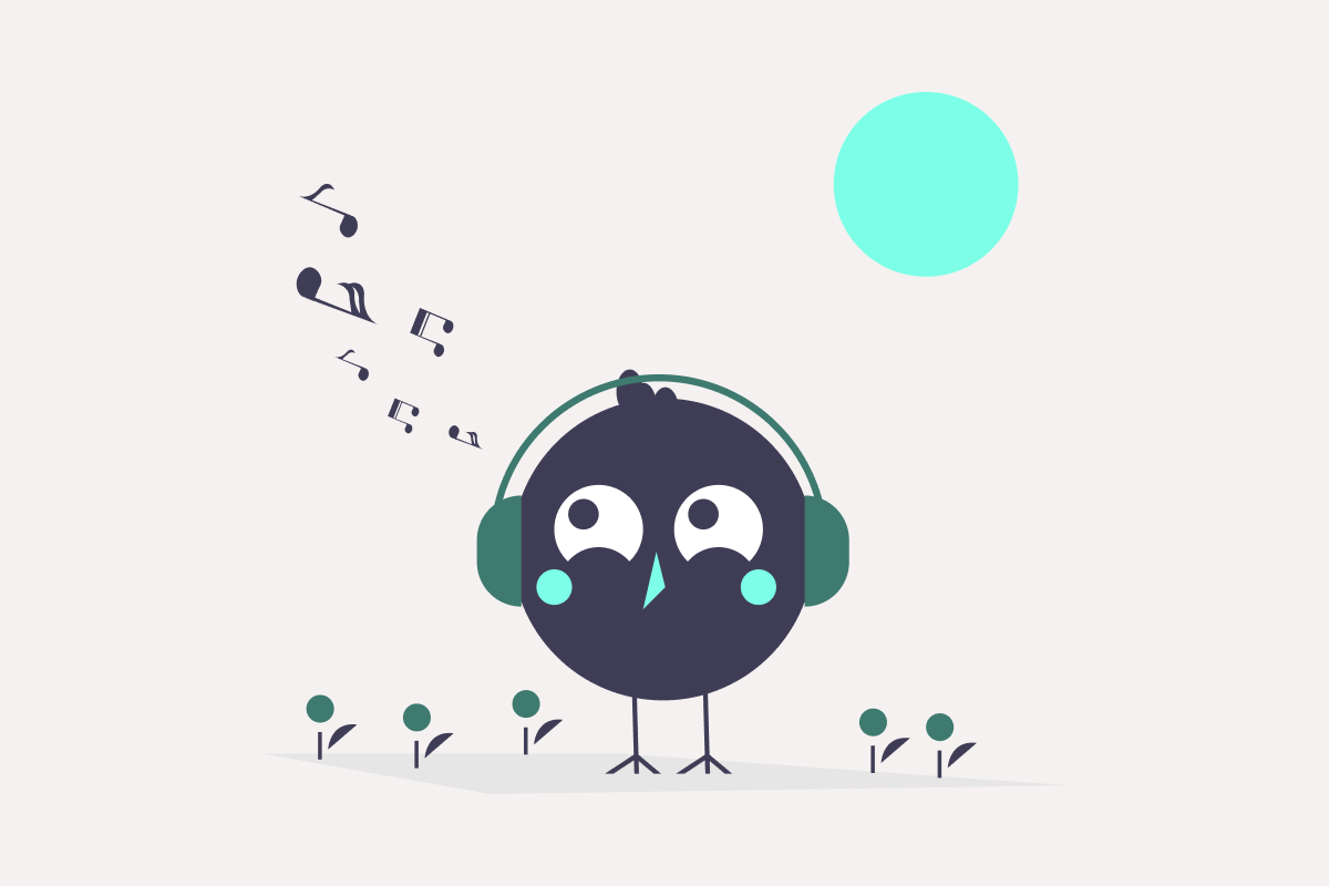 Visualize Your Spotify Data with Python and Streamlit